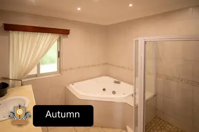 a bathroom with a white sink and a shower at All Seasons Boutique Hotel - Sustainable Electricity and Water in Pretoria