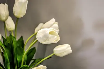 a bunch of white flowers in a vase at Town Lodge Waterfall, Midrand in Midrand
