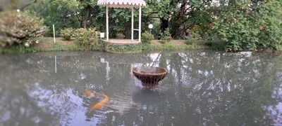 a pond with a bird bath in the middle of it at Tarentilos in Tzaneen