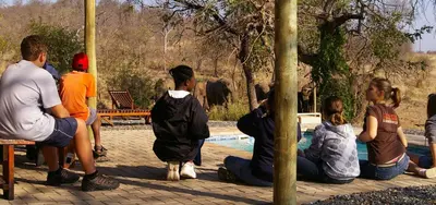 a group of people sitting on the ground looking at elephants at Antares Bush Camp & Umgede Hide in Grietjie Nature Reserve