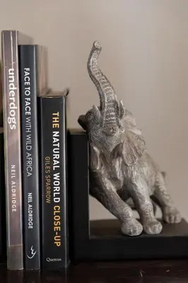 a statue of an elephant standing next to books at Antares Bush Camp & Umgede Hide in Grietjie Nature Reserve