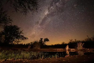 a starry night with the milky way in the sky at Antares Bush Camp & Umgede Hide in Grietjie Nature Reserve