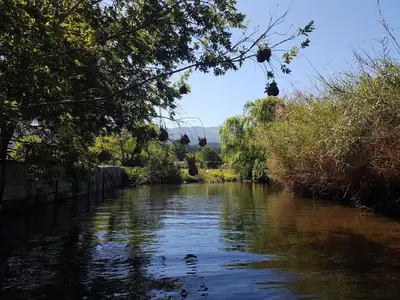 a river with trees on the side of it at Thandamanzi Self Catering in Sabie