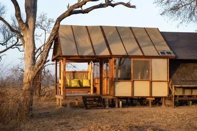 a house with a large window and a tree at Buffelshoek Tented Camp in Manyeleti Game Reserve