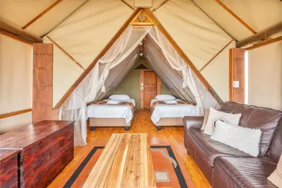 a living room with a couch and a table in a tent at Buffelshoek Tented Camp in Manyeleti Game Reserve
