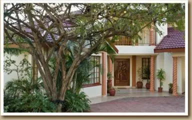 a large house with a tree in front of it at Gannet Place Guest House in Hazyview