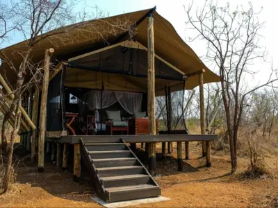 a gazebo with a porch and stairs in the woods at Honeyguide Tented Safari Camps - Mantobeni in Manyeleti Game Reserve