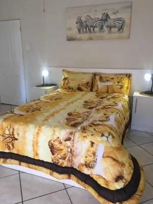 Gallery image of Rock Art Guesthouse in Witbank