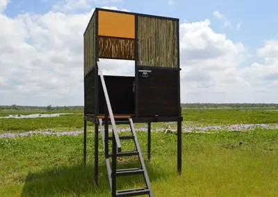 a tree house with a ladder in a field at Finfoot Lake Reserve by Dream Resorts in Vaalkop Dam