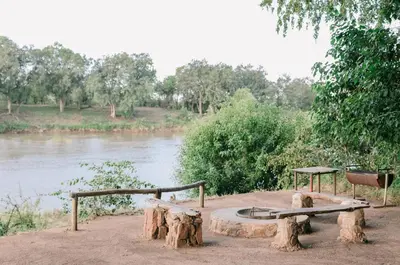a bench sitting next to a river next to a tree stump at Limpokwena Nature Reserve in Tokio