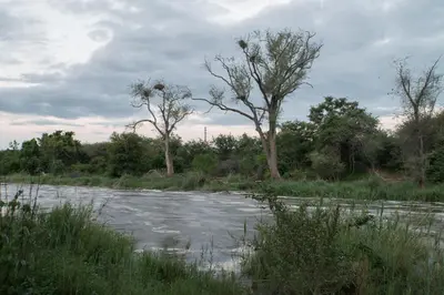a river with trees in the middle of a field at Limpokwena Nature Reserve in Tokio
