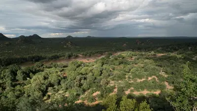 an aerial view of a river in a forest at Limpokwena Nature Reserve in Tokio
