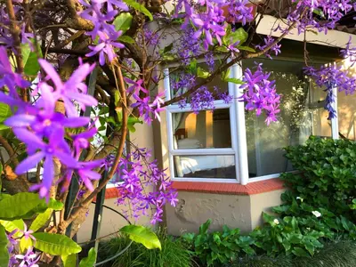 a house with purple flowers in front of a window at Hills and Dales Accommodation in Lanseria