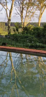 a reflection of a bench in a body of water at Boschoek Farm in Tzaneen