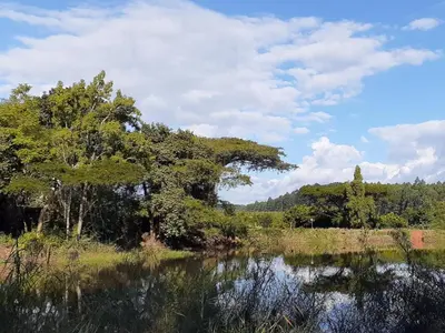 a body of water with trees in the background at Boschoek Farm in Tzaneen