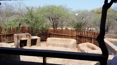 a view of a zooificialificialificialificialificialificialificialificialificialificialificial at Marloth Kruger Whispering Ants in Marloth Park