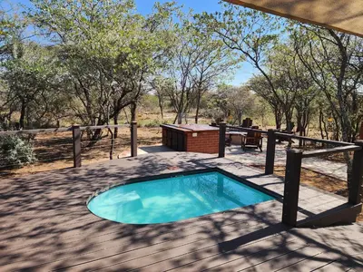 a swimming pool on a deck with a picnic table and trees at Crimson Bush Lodge in Klipdrift