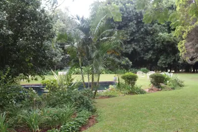 a park with a palm tree and a swimming pool at Softwaters Guesthouse Cottages in Louis Trichardt