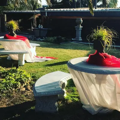 two tables with plants on them in a yard at Dara Guest House in Trichardt
