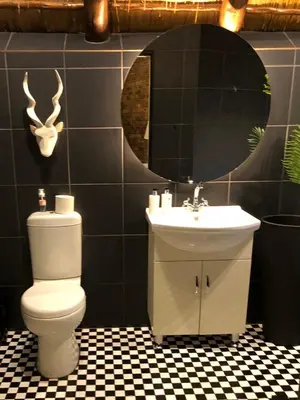 a bathroom with a toilet and a sink and a mirror at Imbube Safari Lodge in Marloth Park
