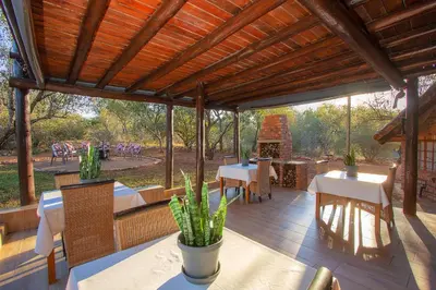 an outdoor patio with tables and chairs and a wooden ceiling at Imbube Safari Lodge in Marloth Park