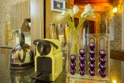 a kitchen counter with a toaster and a vase of flowers at Imbube Safari Lodge in Marloth Park
