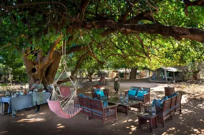 a group of tables and chairs under a tree at Nkula Walking Camp by RETURN Africa in Makuleke Contract Park