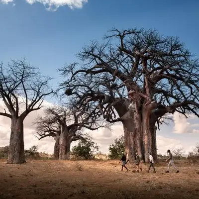 Nkula Walking Camp by RETURN Africa