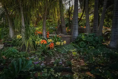 a garden with colorful flowers and palm trees at Hudson House in Pretoria