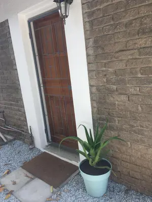 a potted plant sitting in front of a door at Alibama House in Nelspruit