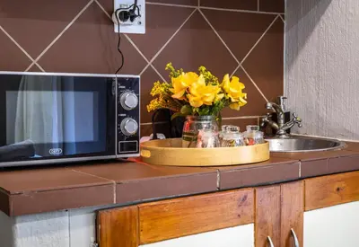 a microwave sitting on a counter next to a sink at Craigivar Guesthouse in Pretoria