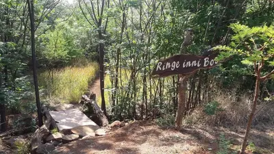 a sign for a hiking trail box in a forest at Guinea Feather Country Lodge & Spa in Groblersdal