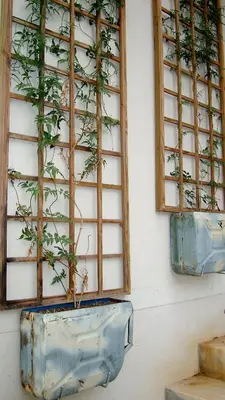 two plants in a pot on a wall at umSisi Cottage in White River