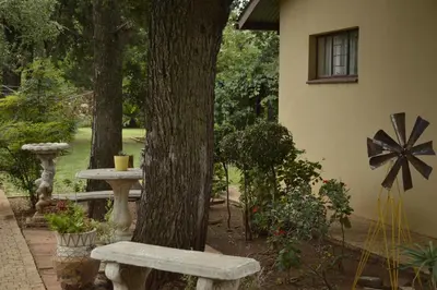 a bench sitting next to a tree next to a building at 42onKing in Centurion