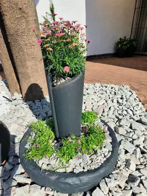 a black planter with flowers in a rock garden at Wilger Guesthouse in Centurion