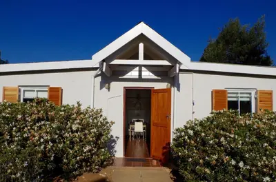 a white house with a brown door and two bushes at Graskop Harrie's Cottage in Graskop