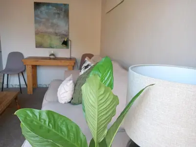 a living room with a couch and a plant at Willows Garden Cottage in Pretoria