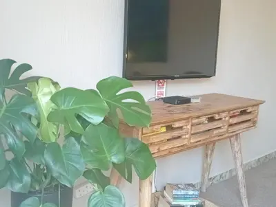 a television sitting on a wooden table next to a plant at Willows Garden Cottage in Pretoria