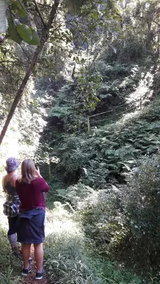 two people standing on a trail looking at a forest at Sanfern Downs Cottage in Haenertsburg