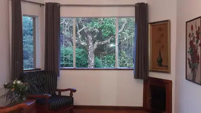 a room with a window with a chair and a tree at Sanfern Downs Cottage in Haenertsburg
