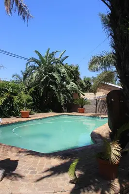 a swimming pool in a yard with palm trees at Kalahari Guest House in Witbank