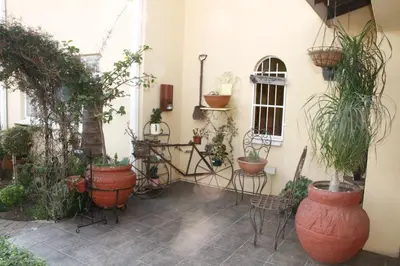 a patio with a bunch of potted plants at Kalahari Guest House in Witbank