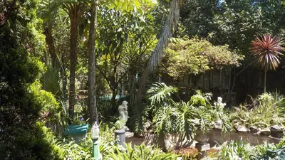 a garden with a lot of plants and trees at A Pilgrims Rest Guest House in Graskop in Graskop