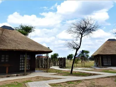 two buildings with thatched roofs and a tree at Witgatboom Boskamp in Naboomspruit