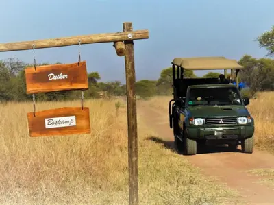 a green jeep driving down a dirt road at Witgatboom Boskamp in Naboomspruit