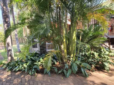 a group of palm trees and plants in front of a building at Tamboti House in Malelane