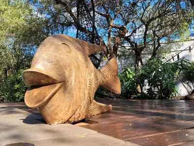 a wooden fish statue sitting on the ground at Switsongo B&B in Hoedspruit