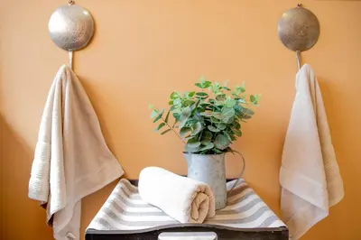 a vase with a plant on a table with towels at Tambati Overnight and Conference Center in Polokwane