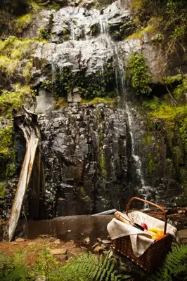 a basket of fruit in front of a waterfall at Mount Sheba Rainforest Hotel - Mountain Spring Water in Pilgrimʼs Rest