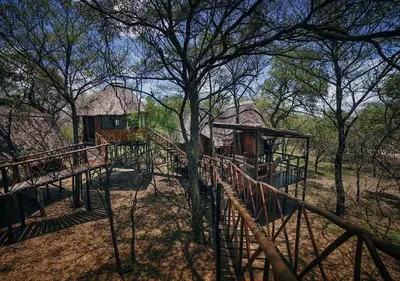 a playground with a house in the woods at Pezulu Tree House Lodge in Hoedspruit